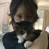 allicatmath